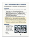 The Beauty of the Developing Human Being (Download)