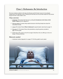 Without Mercy: An Introduction to Euthanasia, Assisted Suicide, and Other Threats to the Medically Vulnerable (Download)