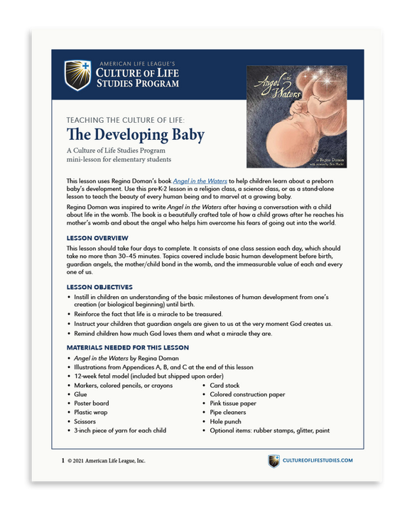The Developing Baby (Download)