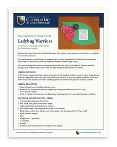 Free e-lesson Ladybug Warriors (Download)