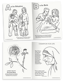 Miracle of Life Coloring & Activity Book (25 books)